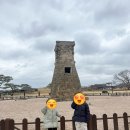 놀부막창 - 서구 국채보상로46길 28 | [경주 여행] 아이들과 함께한 경주 2박3일 여행코스 총정리 (보문단지 중심)