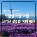 제217차 안산고인돌산악회 9월 정기산행 거창감악산 별바람언덕 아스타국화 꽃별여행 이미지