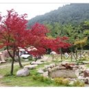 400동화장실 Daum카페