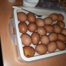 한울타리농장 이미지