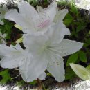 대구교육정보원 이미지