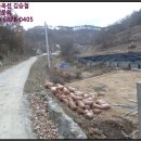 다복1리 경로당 이미지