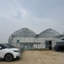 일산 아이와함께 일산 이색데이트 칵티부부 주차 정보 후기