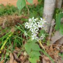 김해봉황초등학교 이미지