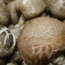 섬김농장 이미지