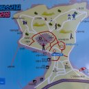 라성 Daum카페