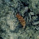 해우환경 이미지