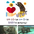 대전아쿠아리움 이미지