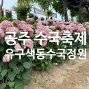 (주)백암명성모터스 | [공주 여행] 2026 공주 유구색동수국축제 방문후기 프로그램·야경· 주차장 추