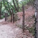 여장군 이미지