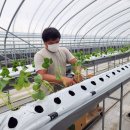 경영2농장 이미지