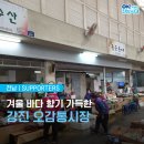 강진오감통 이미지