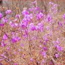 청천호 둘레길 주차장 이미지