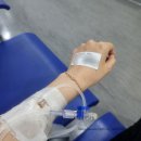 서울 대학병원 약물 알레르기 검사 가능한곳 후기
