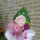 담쟁이화원 이미지