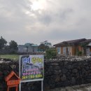 비자림빌리지2 이미지