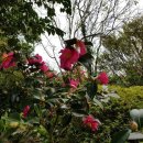 한잔술에 이미지