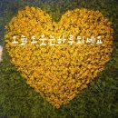 정다운다방