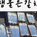 제주수산어벤져스 이미지