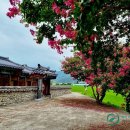 의령 탐진안씨 문중 정려각 이미지