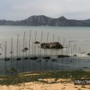 섬in섬 연홍미술관 이미지