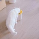 멍꿀개꿀 네이버블로그