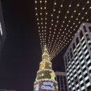 테스형 노래연습장 | [2025 서울빛초롱축제 / 청계천] 강아지동반 가능한 서울 갈만한곳 볼거리 후기