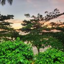 물빛세탁 | 푸꾸옥 빈펄리조트 풀빌라 오션뷰 가성비 숙소 후기