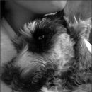 오늘도  고마워 이미지