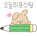 다움스킨 이미지