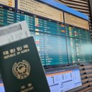 디씨(DC)마트 | [호주 여행/여자 혼자 여행] 출국 부터 시드니 도착까지 -1