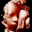 차차여성의원 이미지