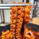 신방통통 낙지 이미지