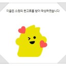 바디코치 피티(PT) 필라테스 분당미금점 네이버블로그