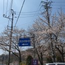 세운장 이미지