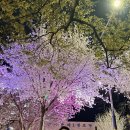 하필경로당 이미지