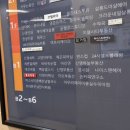 네코네일 이미지