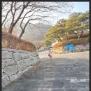 영유아 대상 안전교육 뮤지컬 | [청주 아이랑 가볼만한곳] 국립청주박물관 어린이놀이터 &amp; 영유아체험실 솔직 후기! (예약 팁 &amp; 주차)
