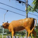 한우사육장 | 아홉산숲 인근 철마 맛집 한우 먹기 딱 좋은 곳 철마한우수목원