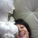 홍여진 카카오 검색결과