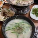 송백돼지국밥 네이버블로그