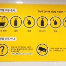 겟풀(GETPOOL) 이미지