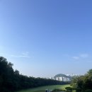 체리코스 이미지