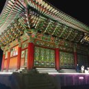제주 한림 맛집 뷰가 좋은 바다이야기 방문후기