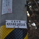 미죽천 Daum카페