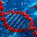 선경건설 이미지