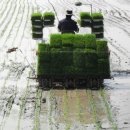 소만농장 이미지