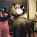 오아시스 | 이창동 감독의 영화 <오아시스> 후기 및 해석