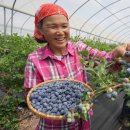 김태성농장 이미지