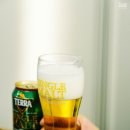 몰트번 이미지
